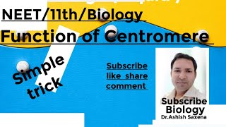 Learn the function of centromere with simple trick [upl. by Trelu]