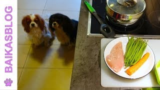 Recette pour chien  Ration ménagère du débutant [upl. by Eicats]