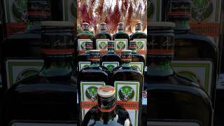 Jagermister party jägermeister event alcohol liqueur travel enjoy trending fun bartender [upl. by Orling]