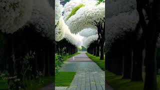 Natural video explore exploremore explorepage legend reelkarofeelkaro reelsvideo reelsviralfb [upl. by Pablo]