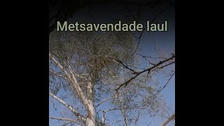 Metsavendade laul Metsäväen laulu   Ensemble [upl. by Arleta788]