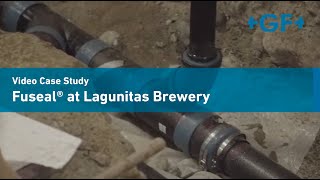 Lagunitas Brewery uses Fuseal® [upl. by Anastatius27]