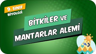 Bitkiler ve Mantarlar Alemi  9Sınıf Biyoloji 2024 [upl. by Ahsar]