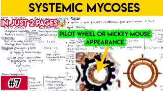 Systemic mycoses part 1  histoplasmosis basidiomycosis coccidioidomycosis paracoccidioidomycosis [upl. by Zelma]