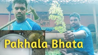 Pakhala BhataOdisha Village LifestyleSunaram Murmu Vlogs [upl. by Jeanna307]