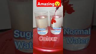 Experiment of Sugar water and Simple water sceicnceexpirement [upl. by Birgit]