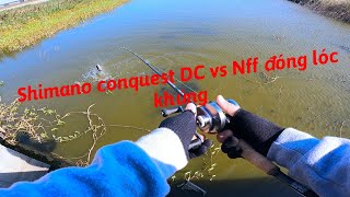 Test máy câu ngang Shinano Calcutta Conquest DC 201HG vs Nff lên lóc khủng [upl. by Norbel]