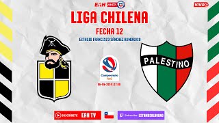 COQUIMBO UNIDO vs PALESTINO  LIGA CHILENA 2024  FECHA 12 [upl. by Graig]