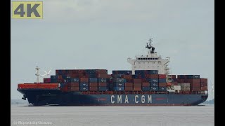 CMA CGM MONTOIR  Shipspotting Germany 🇩🇪 IMO 9348443  River Elbe near City Otterndorf  4K VIDEO [upl. by Elledoj849]