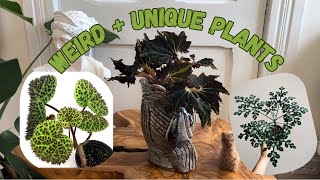 Lets Look at Some Weird  Unique Plants [upl. by Vilma]