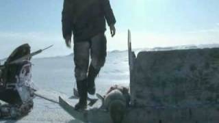 A Seal Hunt In Nunatsiavut [upl. by Losse]