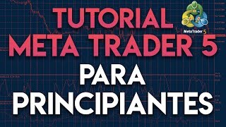 Tutorial MetaTrader 5 para principiantes  Cómo usar MeTatrader MT5 [upl. by Bellina]