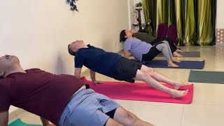 Gentle Yoga for Back Pain  Live Practice for Beginners amp Intermediates [upl. by Leora]