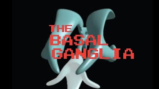 Neuroanatomy The Basal Ganglia [upl. by Gena]