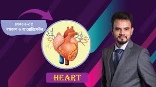 হার্ট  heart। লেকচার  ০৩  রক্ত সংবহনতন্ত্র রক্তচাপ ও ব্যারোরিসেপ্টর  Rizvys Biology [upl. by Schurman]