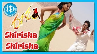 Shirisha Shirisha Song  Ragada Movie Songs  Nagarjuna  Anushka Shetty  Priyamani [upl. by Celene45]