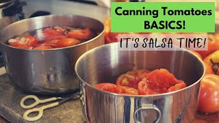 Canning Tomatoes for Beginners  Water Bath Canning [upl. by Analra]