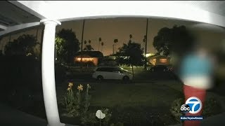 TERRIFYING Woman screams for help during apparent kidnapping in South LA  ABC7 [upl. by Calen210]