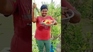 Harvest day episode 5 😋🏡organicfarming gardening harvest organic [upl. by Sidonius]