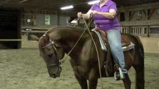 Intro to Western Dressage More Basic Tips [upl. by Pen34]