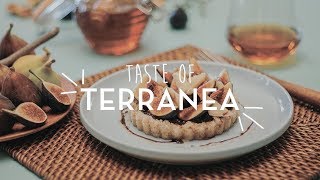 Taste of Terranea Fig Jam and Brie Walnut Tart [upl. by Sarat]