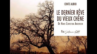 🎄 LE DERNİER RÊVE DU VİEUX CHÊNE de HC Andersen ✨ CONTE AUDIO par Valérie All1 [upl. by Aneral307]