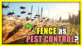 Fencing for Pest Control Protect Your Garden from Rabbits Deer and More [upl. by Auqenwahs]