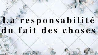 Responsabilité civile La responsabilité du fait des choses [upl. by Nah]