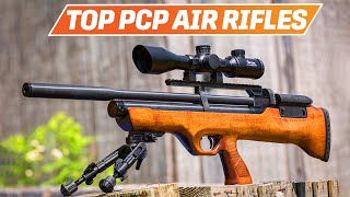 Best PCP Air Rifle 2024  The Only 4 You Should Consider Today [upl. by Gruber]