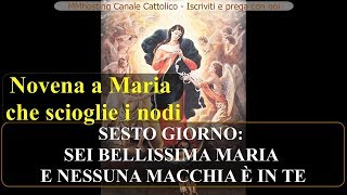 IO SONO TESTIMONE  Novena a Maria che scioglie i nodi  6 giorno  Misteri Gaudiosi [upl. by Darius]