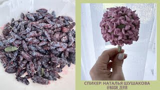 МК Натальи Шушаковой🌹ЗЕФИР из Жимолости  РЕЦЕПТ🌿Honeysuckle Zefir RECIPE [upl. by Pearle]