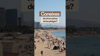 Coneixes els informadors de les platges de Barcelona [upl. by Lyndsay]