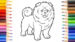 How To Draw Chow Chow Dog  Easy Dog Drawing For Kids Learn to Draw And Color With me [upl. by Eidson]