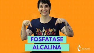 Fosfatase alcalina [upl. by Donohue]