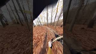 Wolski Forest  Downhill Bike  Commencal Supreme V5 bike downhillmtb mtb mtblife downhill [upl. by Talya]