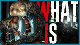 What is the Malacoda Resident Evil Revelations [upl. by Fredela694]