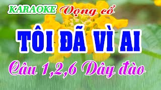 KARAOKE TÔI ĐÃ VÌ AI  Trăng Thu Dạ Khúc  VC 126 Dây đào [upl. by Ronda507]