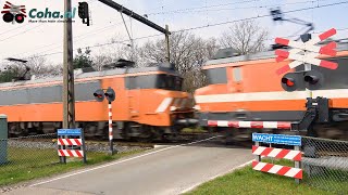 Spoorwegovergang Holten 😍4K😍  Dutch railroad crossing  RFO 1837  1830 amp NS 1752 met ICBerlijn [upl. by Layap]