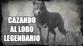 Red Dead Redemption 2  Localización cazando y despellejando un Lobo Legendario [upl. by Pierce]