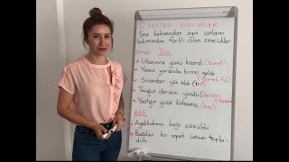 SESTEŞ EŞSESLİ SÖZCÜKLER NELERDİR 4 VE 5 SINIF [upl. by Alejo]