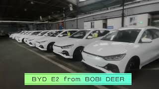 BYD E2 [upl. by Derzon]