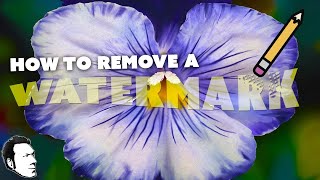 How to Remove a Watermark LIKE A JERK [upl. by Clere747]