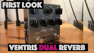 Ventris Dual Reverb by Source Audio  First Look [upl. by Drageruaeb]