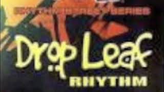 Drop Leaf Riddim Mix  Don Corleon Label [upl. by Ezaria]