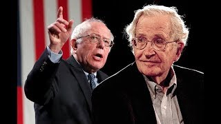 Noam Chomskys Theory Of Change Involves A Bernie White House [upl. by Aeli]