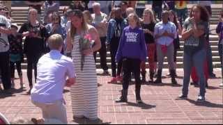 Amazing Proposal  Baltimore Flash Mob  Cait and Powell [upl. by Loydie]