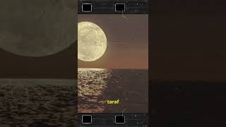 The Moon and the Waves Understanding Ocean Tides [upl. by Demetrius]