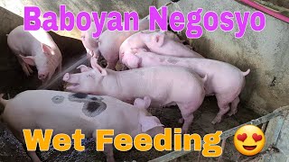 Wet Feeding Baboy  Baboyan Negosyo  LynMarkNeo [upl. by Iain]