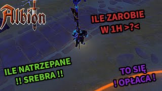 Albion Online  ILE ZAROBIMY W 1H  TAK SIĘ ZARABIA [upl. by Maryn]