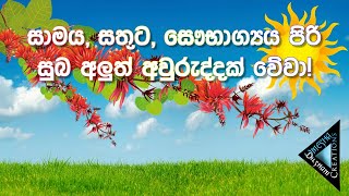 සුබ අලුත් අවුරුද්දක් වේවා  Happy New Year  අවුරුදු  New Year Wishes  Suba Nawa Wasarak New Year [upl. by Kirkpatrick700]